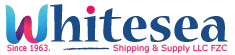 cropped-WSS-LOGO-Copy-1.png
